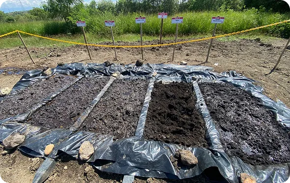 Biorremediación de suelos